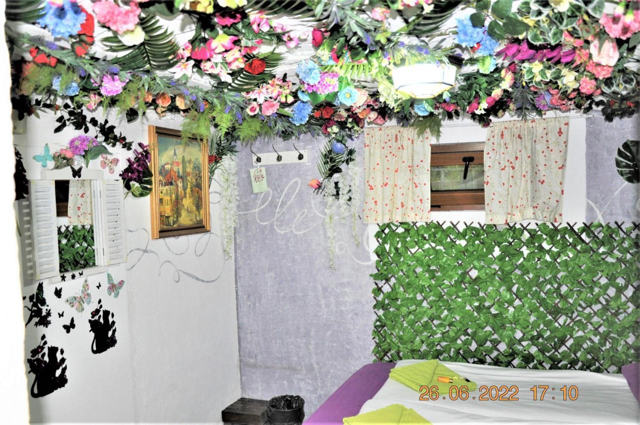 Social Guest House Sofia Exterior foto